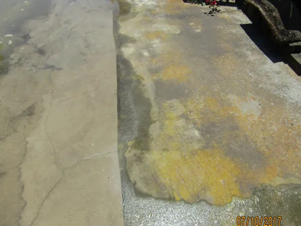Concrete driveway pressure washing