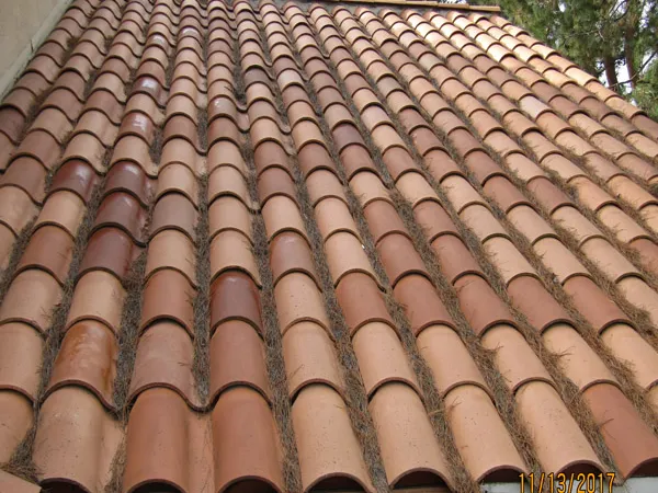 Roof cleaning service work