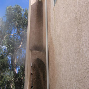 House Wash Pressure Washing House