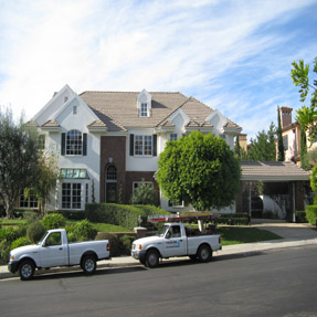 Roof Cleaning