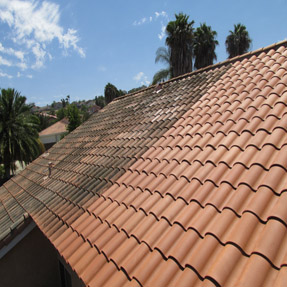 Roof Cleaning 