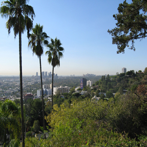 Window Cleaning Los Angeles